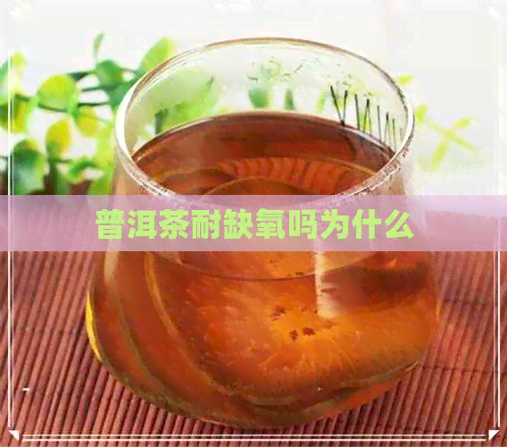 普洱茶耐缺氧吗为什么