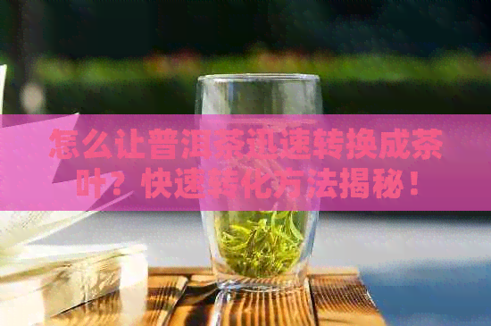 怎么让普洱茶迅速转换成茶叶？快速转化方法揭秘！