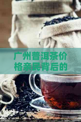 广州普洱茶价格亲民背后的原因解析：品种、制作工艺与市场供求关系的影响