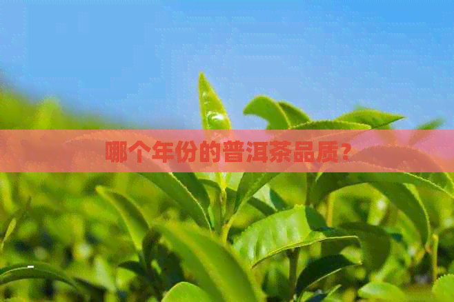 哪个年份的普洱茶品质？