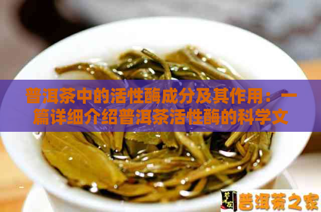 普洱茶中的活性酶成分及其作用：一篇详细介绍普洱茶活性酶的科学文章