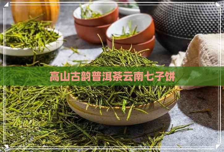 高山古韵普洱茶云南七子饼