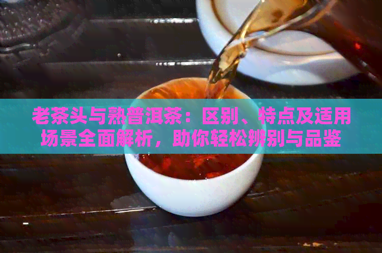 老茶头与熟普洱茶：区别、特点及适用场景全面解析，助你轻松辨别与品鉴