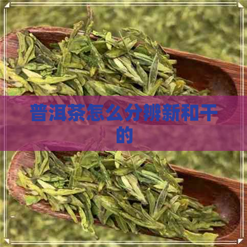 普洱茶怎么分辨新和干的