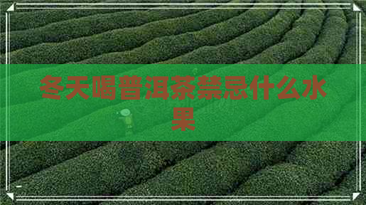 冬天喝普洱茶禁忌什么水果