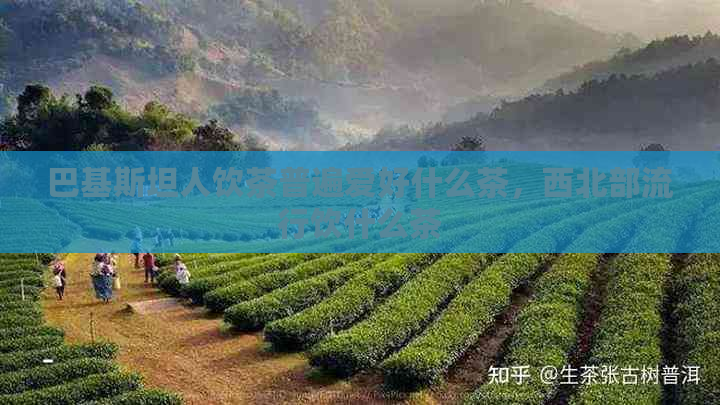 巴基斯坦人饮茶普遍爱好什么茶，西北部流行饮什么茶