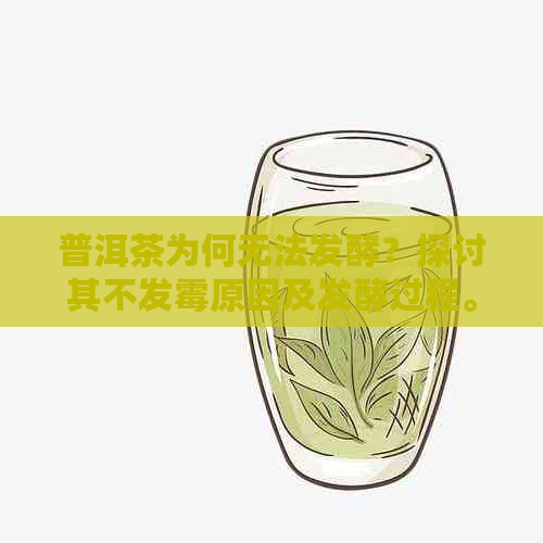 普洱茶为何无法发酵？探讨其不发霉原因及发酵过程。