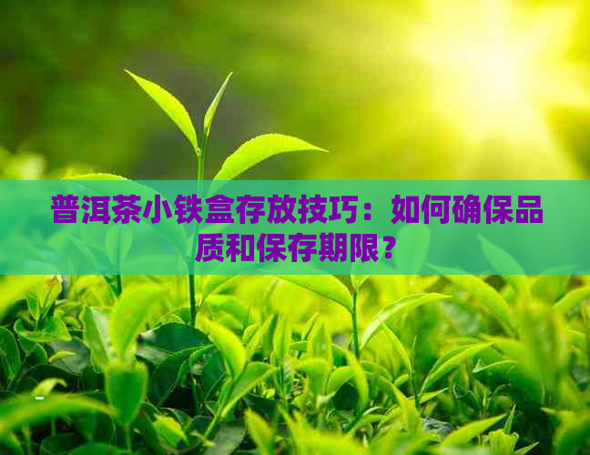 普洱茶小铁盒存放技巧：如何确保品质和保存期限？