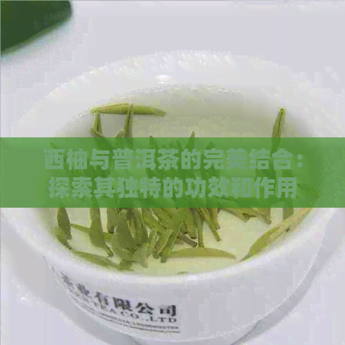 西柚与普洱茶的完美结合：探索其独特的功效和作用