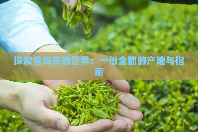 探索普洱茶的世界：一份全面的产地与指南  第1张