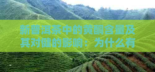 新普洱茶中的黄酮含量及其对健的影响：为什么有些人不适合饮用？