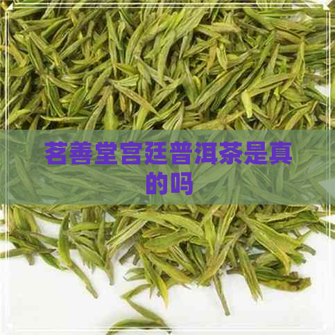 茗善堂宫廷普洱茶是真的吗