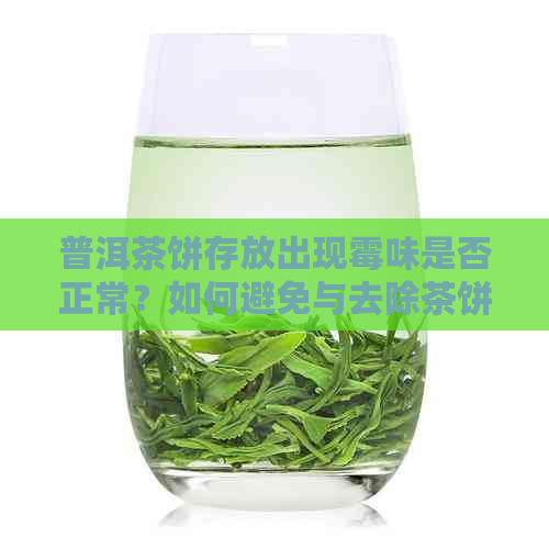 普洱茶饼存放出现霉味是否正常？如何避免与去除茶饼中的霉味？