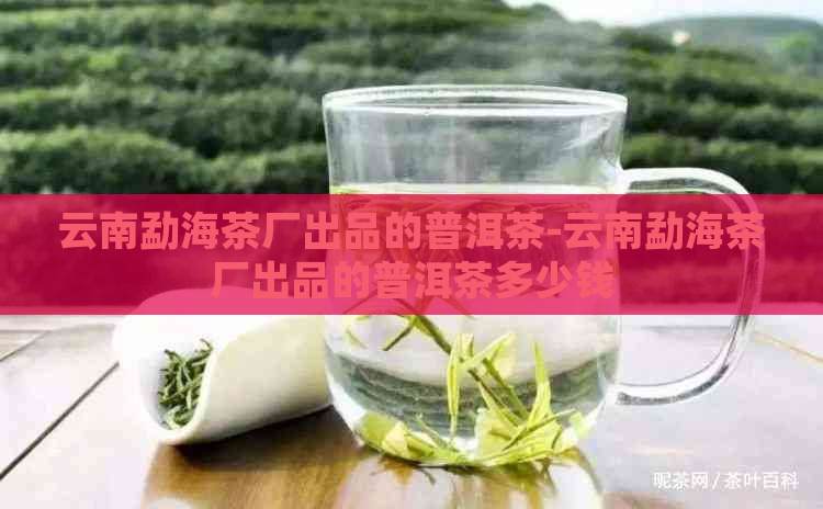 云南勐海茶厂出品的普洱茶-云南勐海茶厂出品的普洱茶多少钱