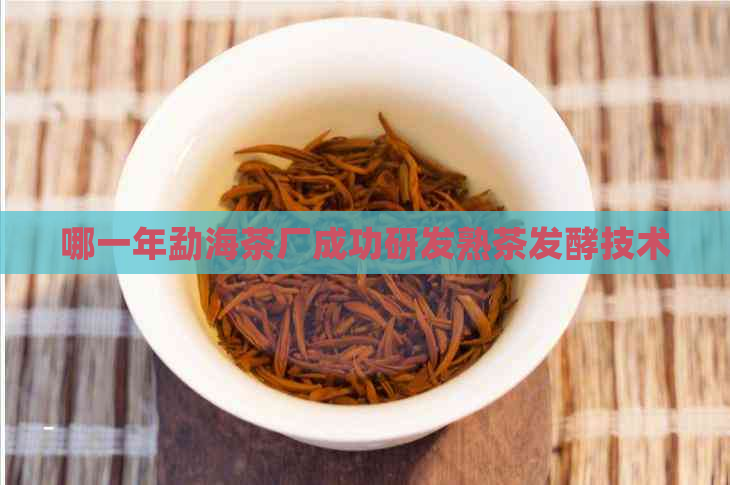 哪一年勐海茶厂成功研发熟茶发酵技术