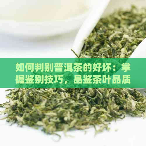 如何判别普洱茶的好坏：掌握鉴别技巧，品鉴茶叶品质