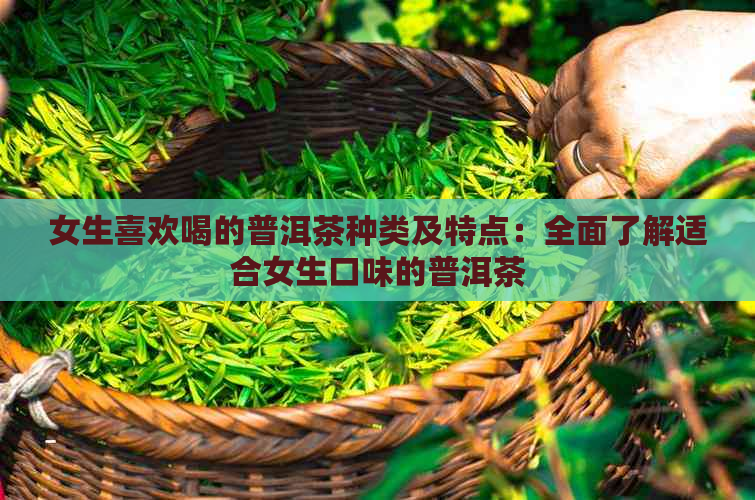 女生喜欢喝的普洱茶种类及特点：全面了解适合女生口味的普洱茶