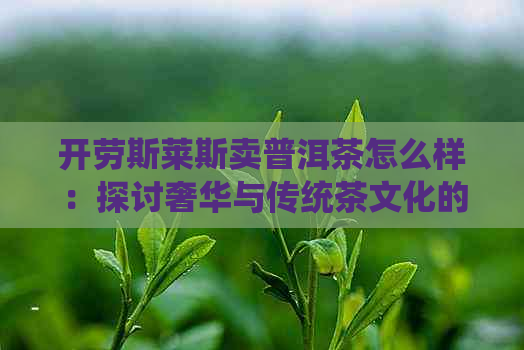 开劳斯莱斯卖普洱茶怎么样：探讨奢华与传统茶文化的结合