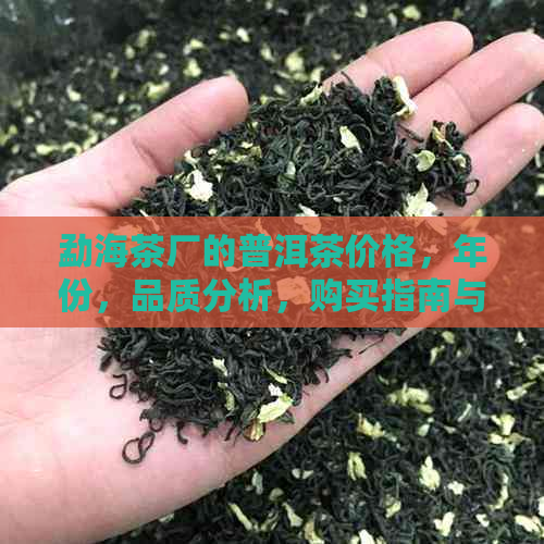 勐海茶厂的普洱茶价格，年份，品质分析，购买指南与推荐