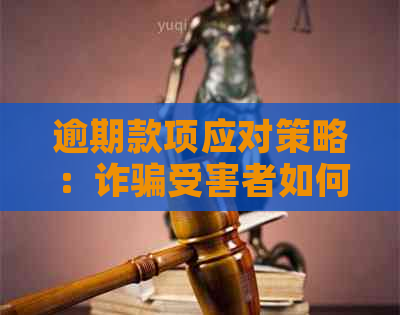 逾期款项应对策略：诈骗受害者如何主动协商还款