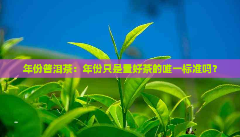 年份普洱茶：年份只是量好茶的唯一标准吗？