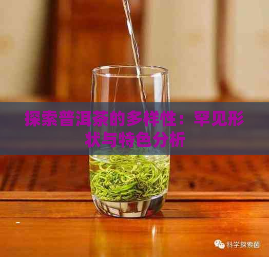 探索普洱茶的多样性：罕见形状与特色分析