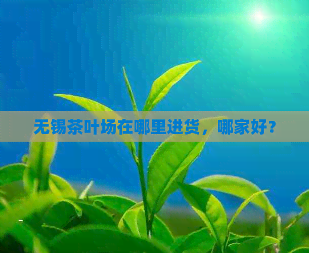 无锡茶叶场在哪里进货，哪家好？