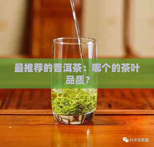 最推荐的普洱茶：哪个的茶叶品质？