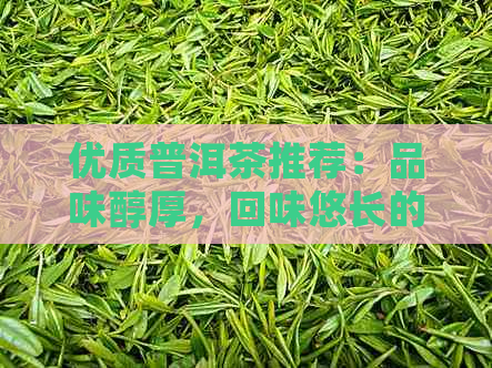 优质普洱茶推荐：品味醇厚，回味悠长的六大经典系列