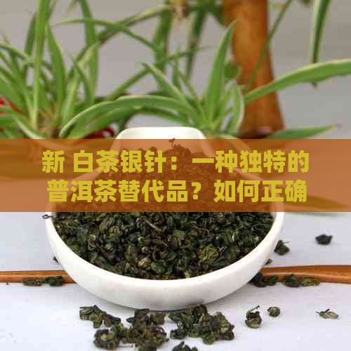 新 白茶银针：一种独特的普洱茶替代品？如何正确冲泡与品鉴？