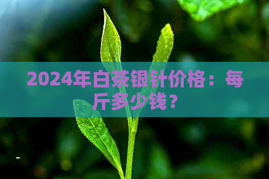 2024年白茶银针价格：每斤多少钱？