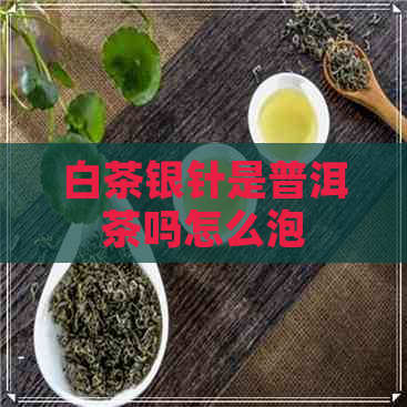 白茶银针是普洱茶吗怎么泡