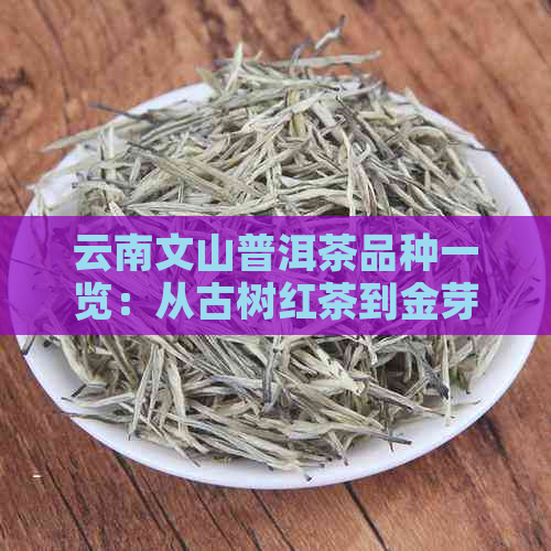 云南文山普洱茶品种一览：从古树红茶到金芽白茶的全方位解析