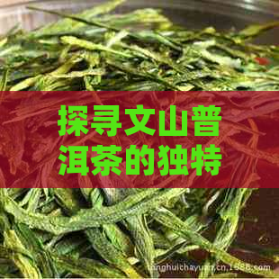 探寻文山普洱茶的独特魅力：品种、品质、功效与泡法一网打尽