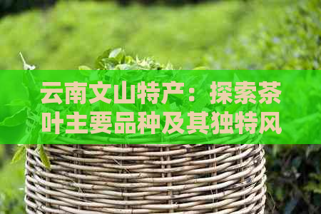 云南文山特产：探索茶叶主要品种及其独特风味