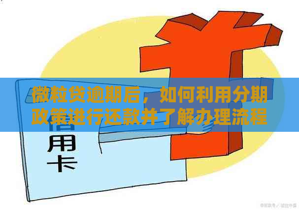 微粒贷逾期后，如何利用分期政策进行还款并了解办理流程？