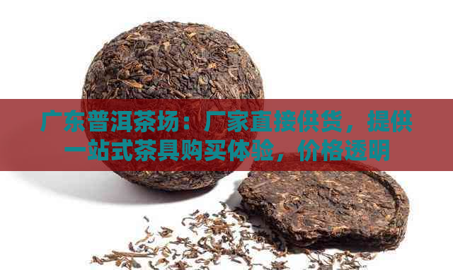 广东普洱茶场：厂家直接供货，提供一站式茶具购买体验，价格透明