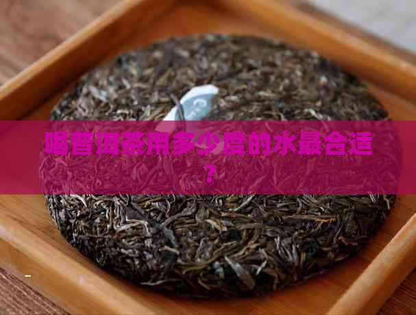 喝普洱茶用多少度的水最合适？