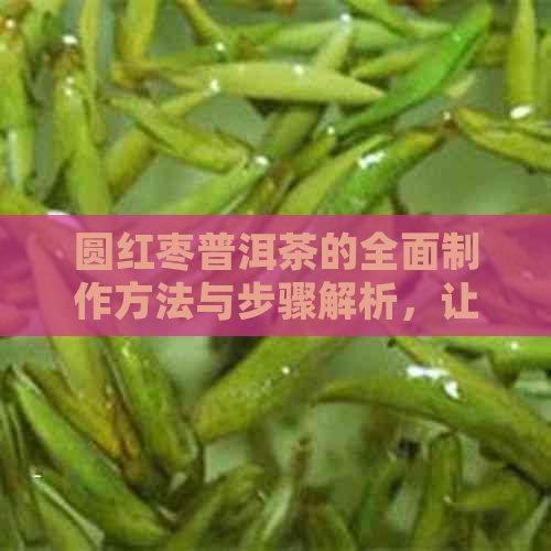 圆红枣普洱茶的全面制作方法与步骤解析，让你轻松掌握茶饮制作的窍门