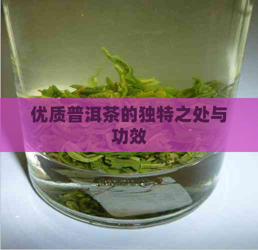 优质普洱茶的独特之处与功效