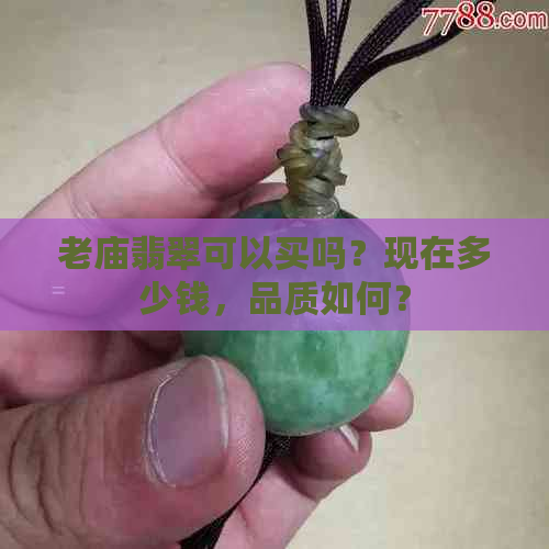 老庙翡翠可以买吗？现在多少钱，品质如何？