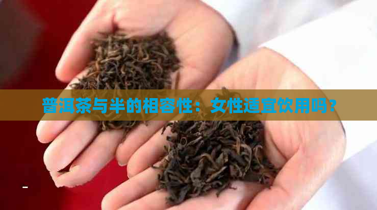 普洱茶与半的相容性：女性适宜饮用吗？