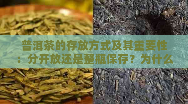 普洱茶的存放方式及其重要性：分开放还是整瓶保存？为什么？