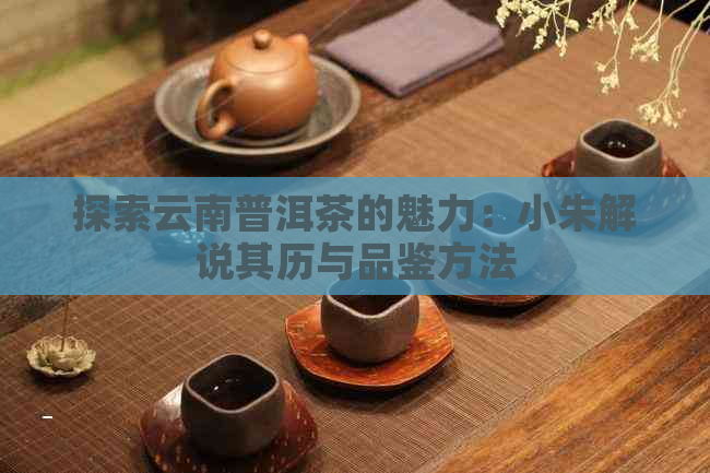 探索云南普洱茶的魅力：小朱解说其历与品鉴方法