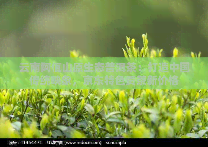 云南阿佤山原生态普洱茶：打造中国传统映象，京东特色贡茶新价格