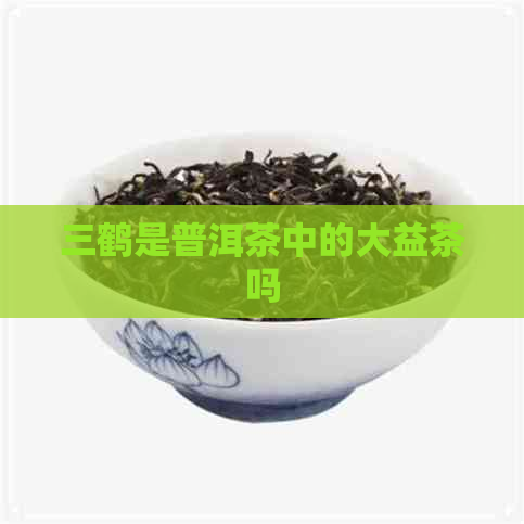 三鹤是普洱茶中的大益茶吗