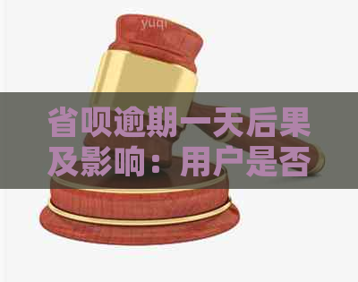 省呗逾期一天后果及影响：用户是否会被停用以及其他可能的后果