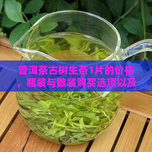 普洱茶古树生茶1片的价格，瓶装与散装购买选项以及茶叶品质的综合分析