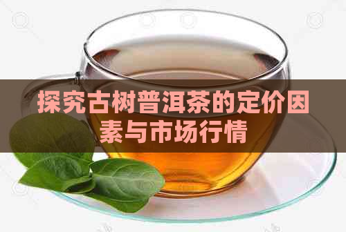 探究古树普洱茶的定价因素与市场行情