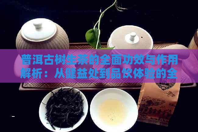 普洱古树生茶的全面功效与作用解析：从健益处到品饮体验的全方位探索